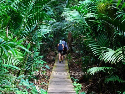 Bako Park Tours