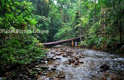 Batang Ai Trekking Packages