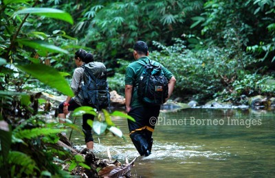 Sarawak National Park Tours