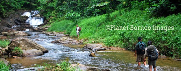 Borneo Ape Trail Tours