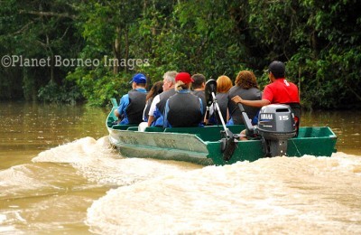 Kinabatangan River Cruise Package