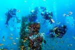 Miri Dive Packages