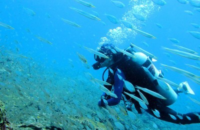 Diving in Miri