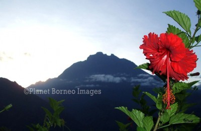 Mount Kinabalu Tours