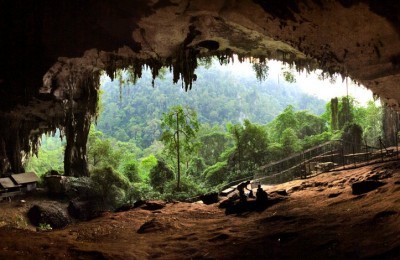 Niah Cave Tours